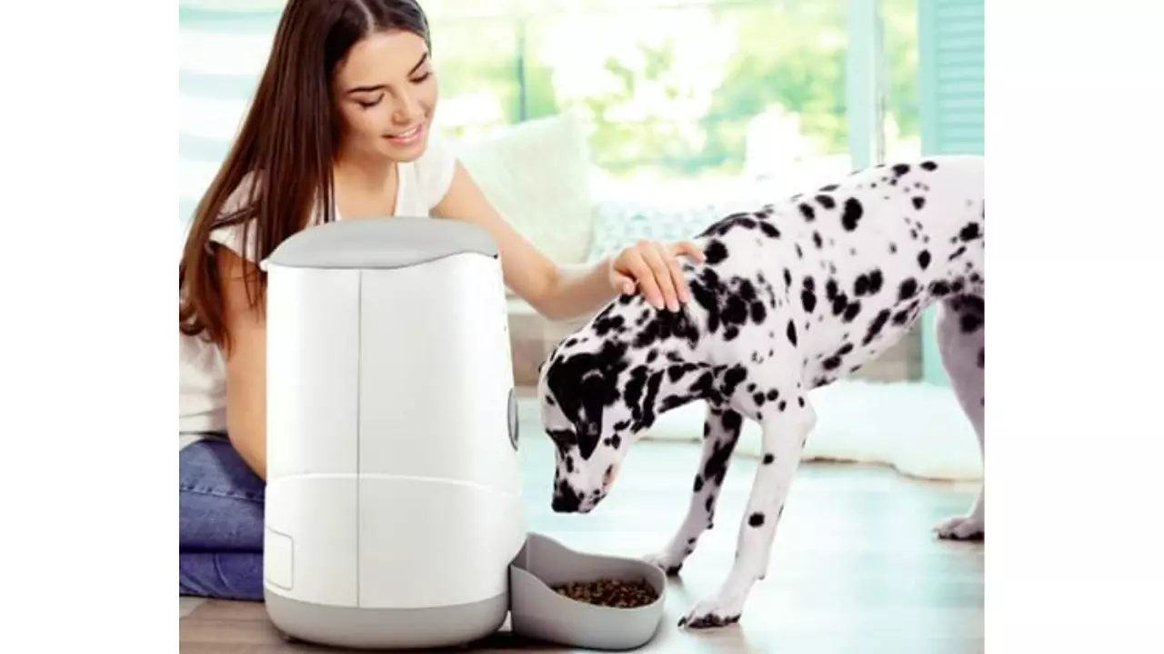 Alimentador Inteligente para Pet